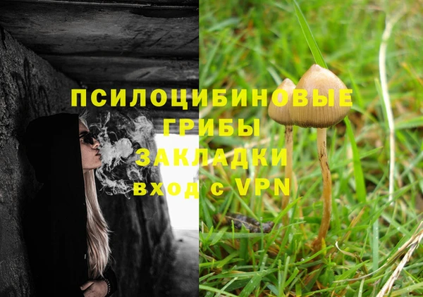 твердый Абинск