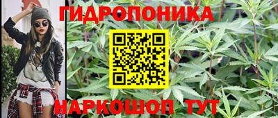 дживик Новодвинск