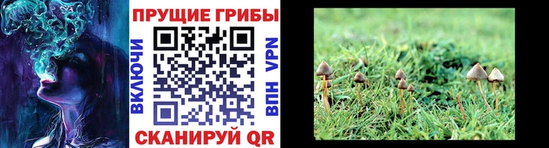 Псилоцибиновые грибы ЛСД Юрга