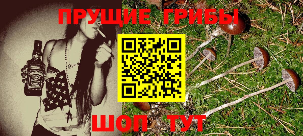 Псилоцибиновые грибы мицелий Юрга