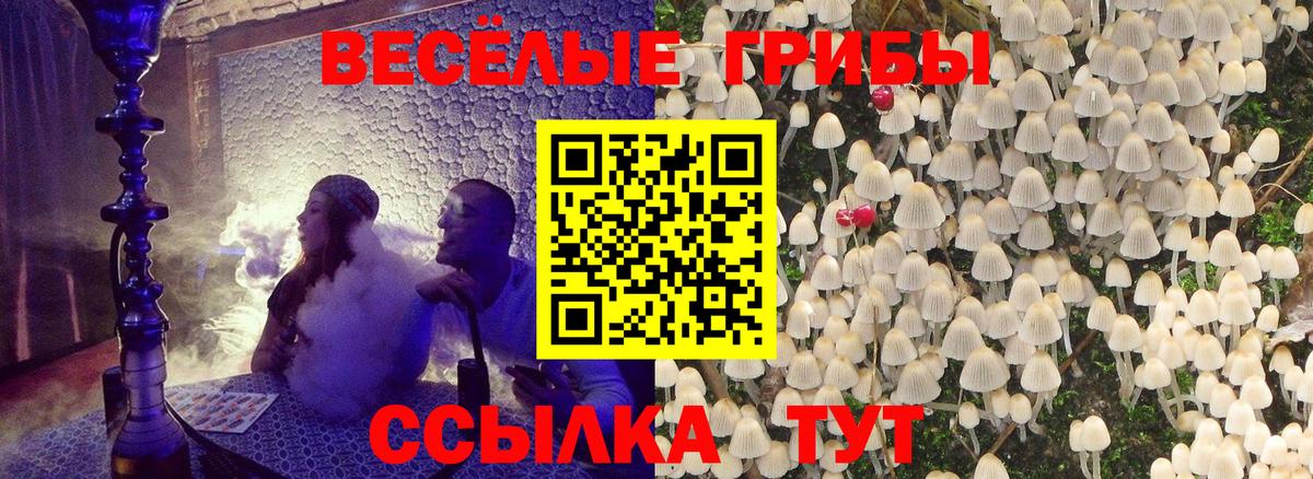 Юрга  Псилоцибиновые грибы Cubensis  Вход с VPN 
